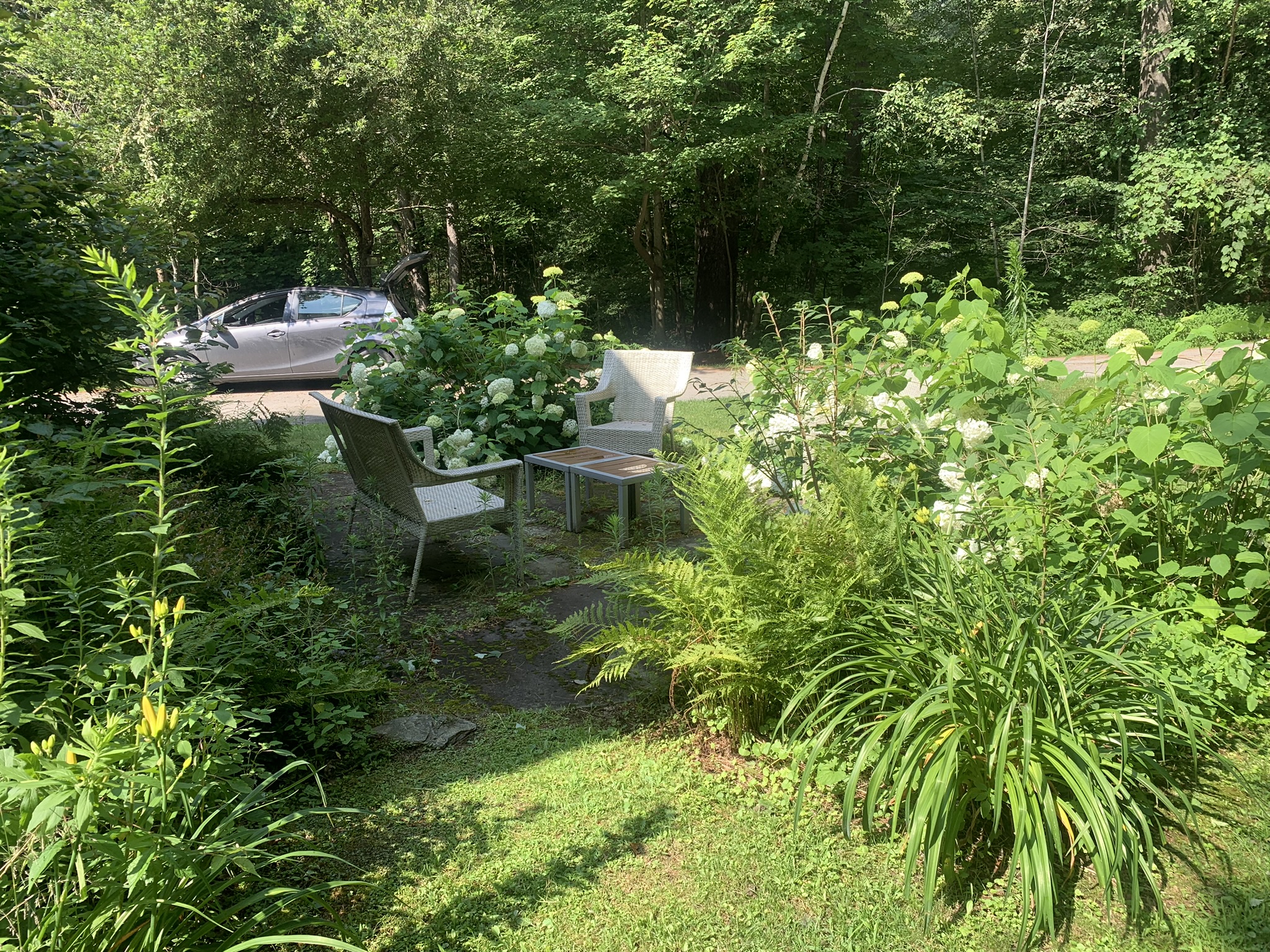 garden bed before work