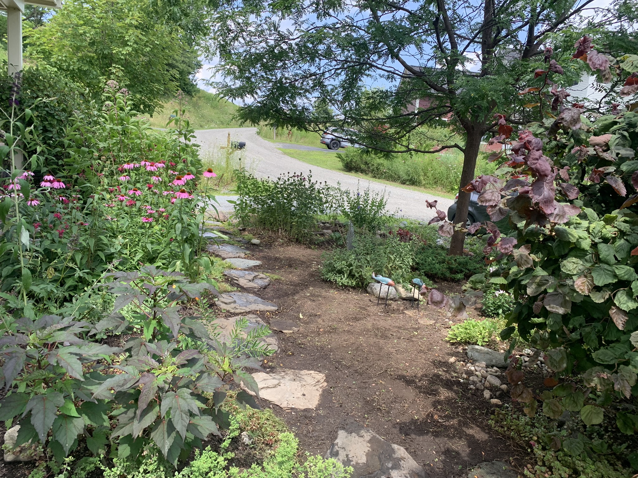 garden bed after work