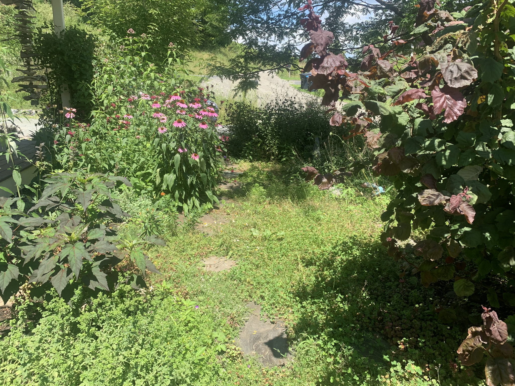 garden bed before work