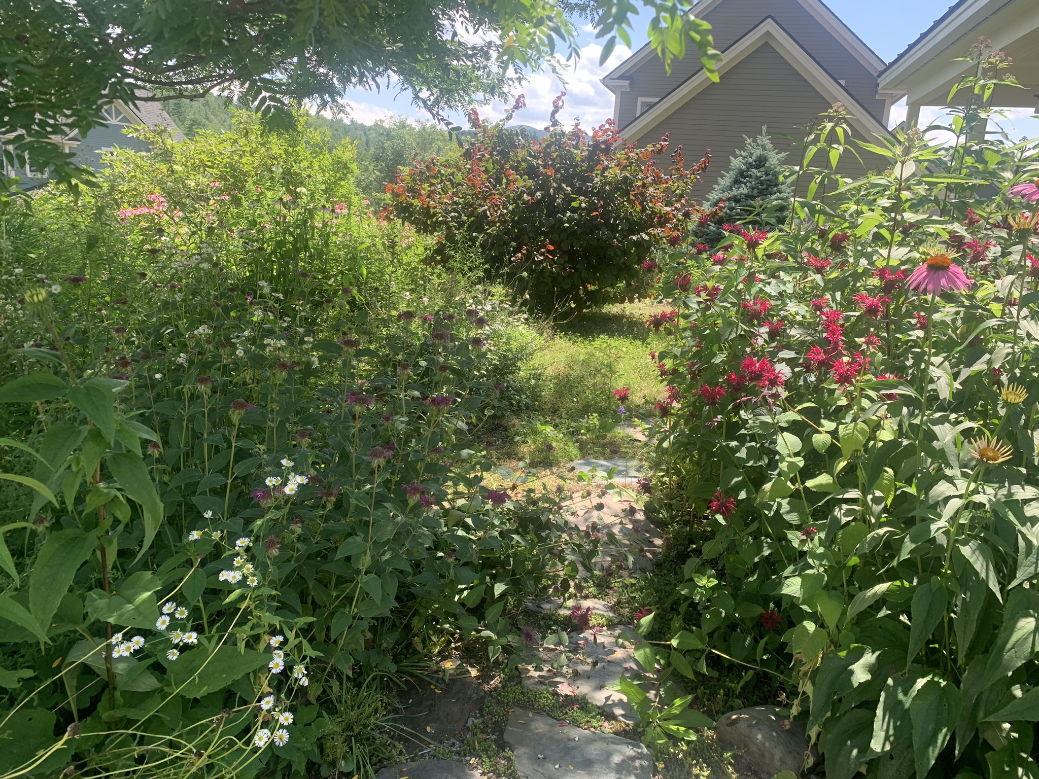 garden bed before work